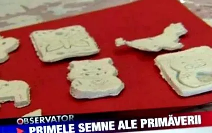 társadalmi