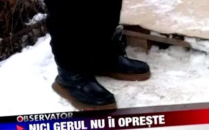 társadalmi