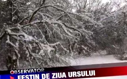 társadalmi