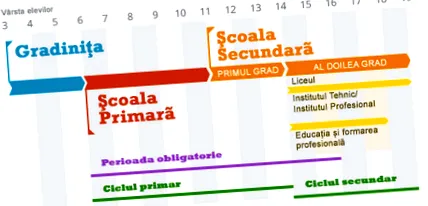 образование