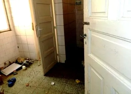 липова шансата