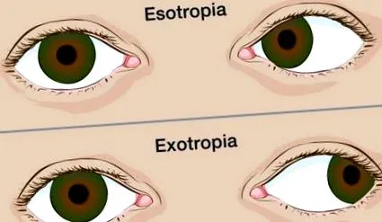 revistafelicia