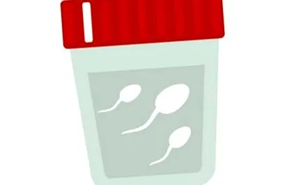 spermogram