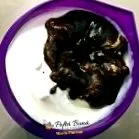 egyszerű puding