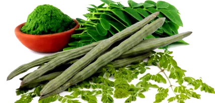 étel
