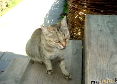планината