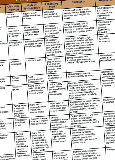helminthiasis helminthiasis
