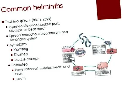 helminthiasis gyermekek