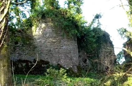 univerzum