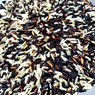 старост старост