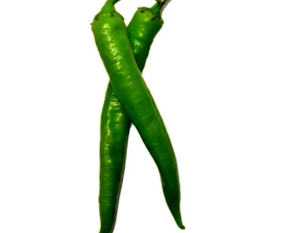 legfőbb