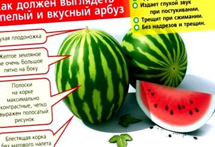 ártalmairól előnyeiről