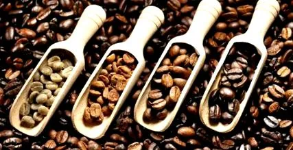 koffeint