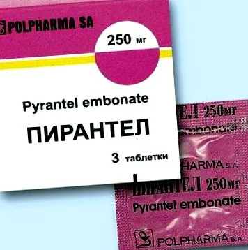 növényi
