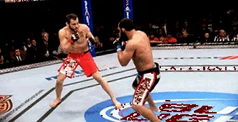 bisping