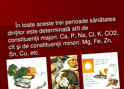 egyetem orvosi