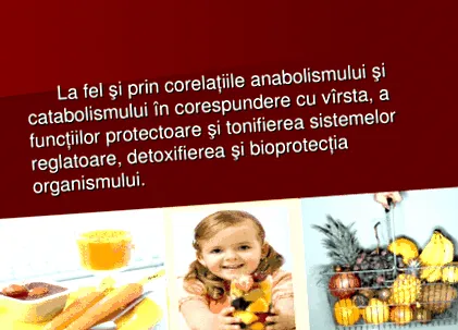 testemitanu orvosi