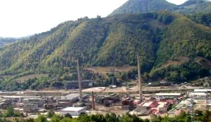 draci