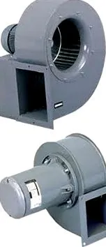 csiga