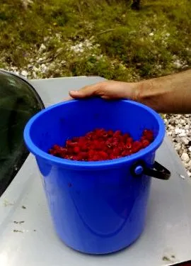 ловци кристијан