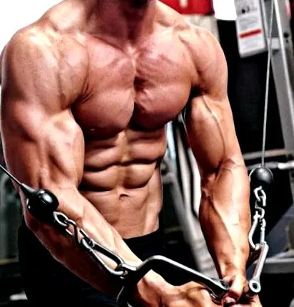 zrak svalov