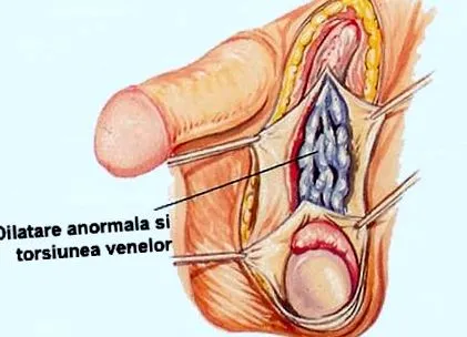 Doctor Info