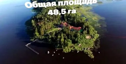 навальний