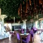 resort cluj