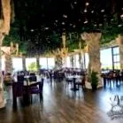 wonderland cluj