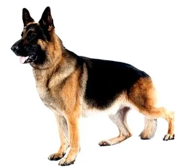 látomása látomása