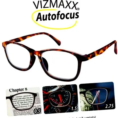 vizmaxx
