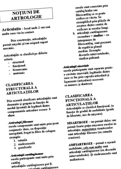 porcízületek
