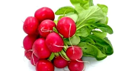 gyógymód menta