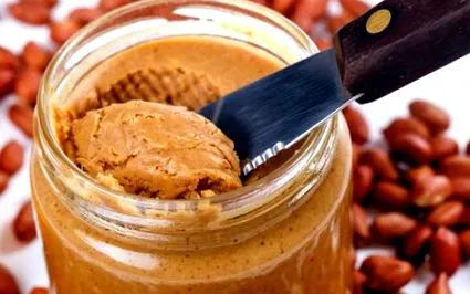 енергија организмот