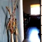 викторие зенсуши