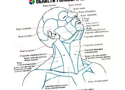 области