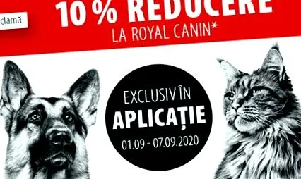 minden canin