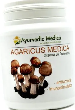Agaricus gomba