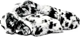 közepes méretű