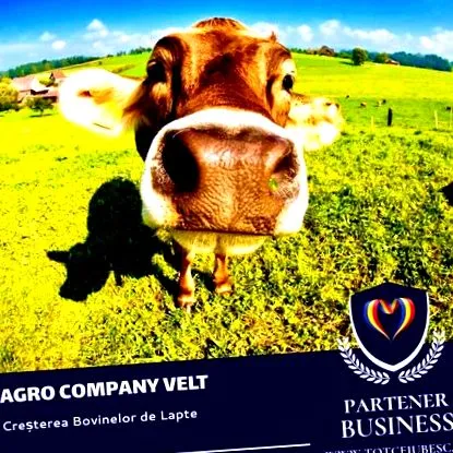 agro velt