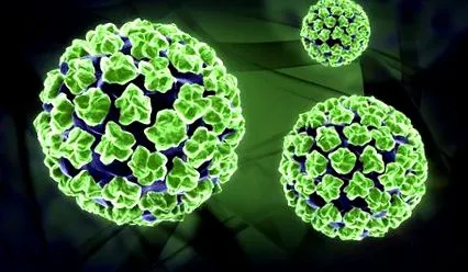 virus вирус