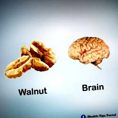 hasonlító