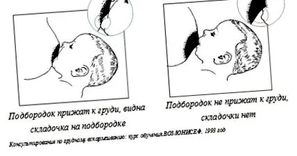 mamaplus