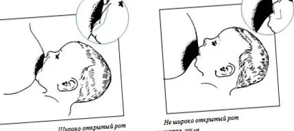 szoptatás