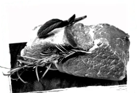 angustifolia