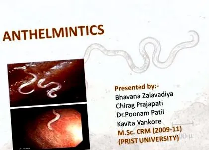 Anthelmintikus jelentése