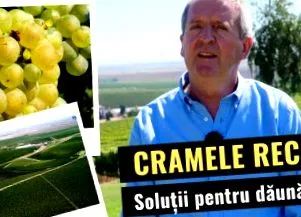 списанието