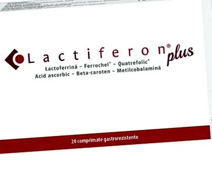 kategóriák