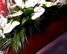 vaslui újság