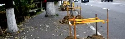 online vaslui